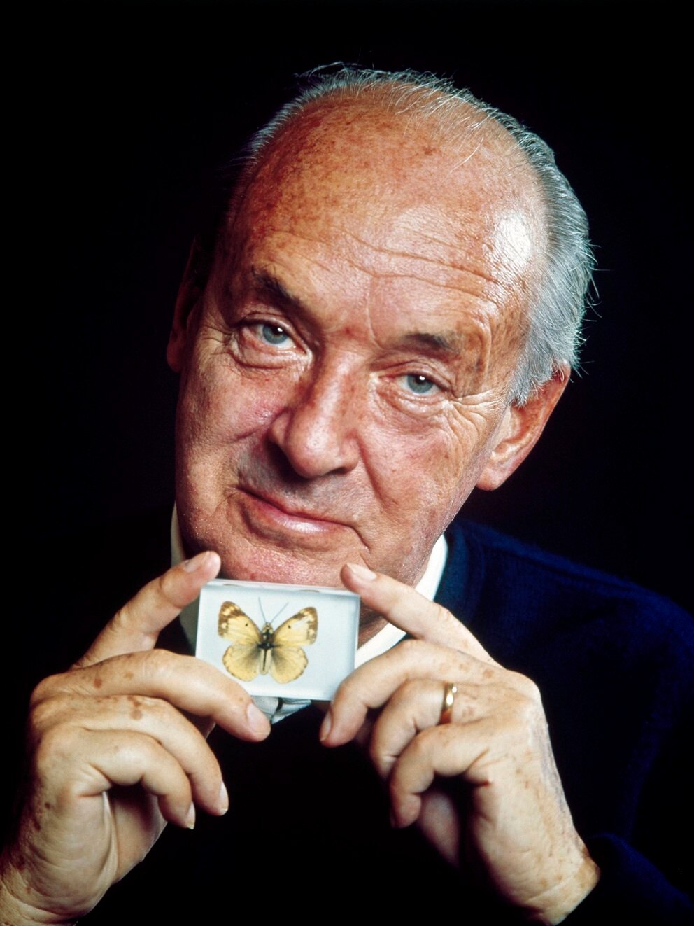 Vladimir Nabokov