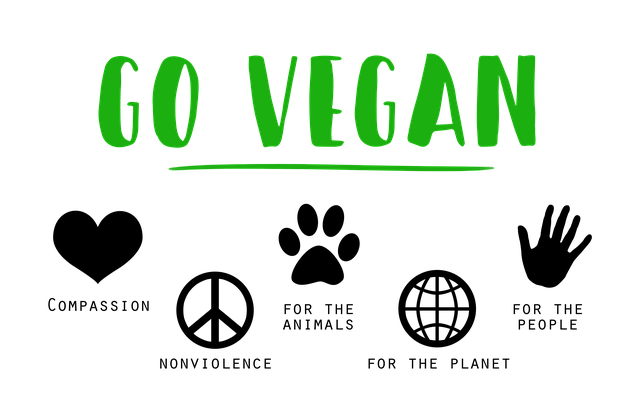 vegan-gb4ad0717a_640