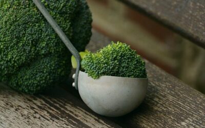 – Tarte au brocoli et camembert –