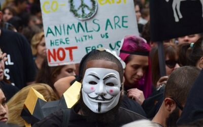 – Le bien-être animal (2) : une attente sociétale forte –