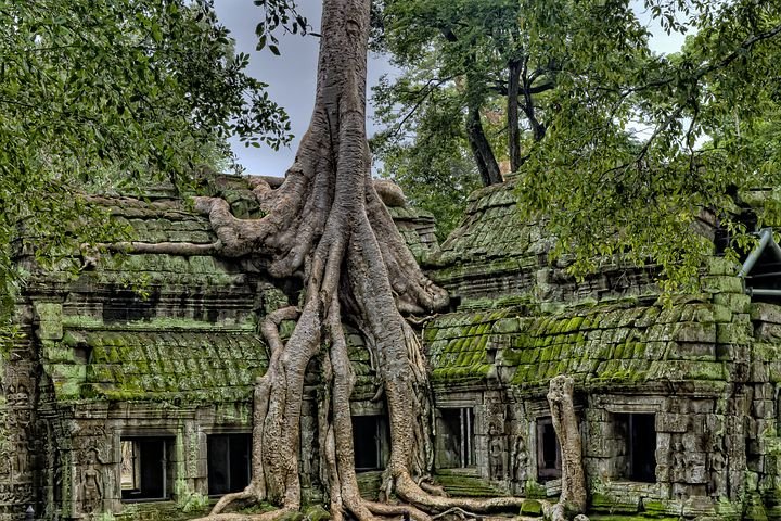– L’atmosphère unique du temple de Ta Prohm –